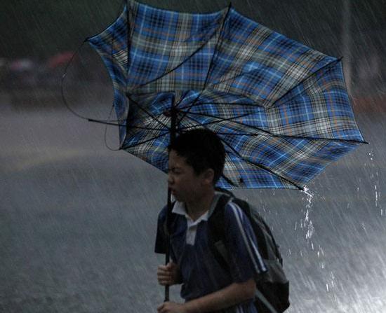 出门必备晴雨两用伞自动,晴雨两用伞使用好物出门必备