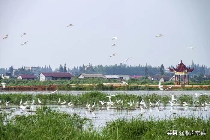书写春联迎新春笔墨浓情送祝福,书写新篇章春联