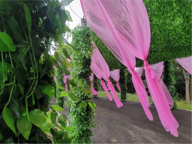 新春打卡重庆香水百合网红艺术节，坐小火车、玩玻璃滑道...