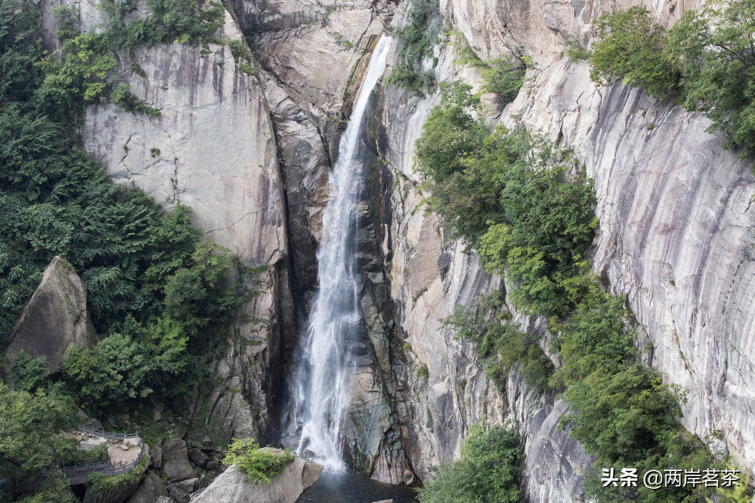 再看白云山，看山不是山，它是一本百读不厌的百科全书