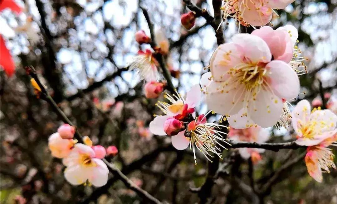 黔南4a级景区学校,都匀公办学校建在哪里