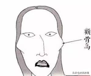 哪种面相的人最能聚财运,能聚财的面相有哪些