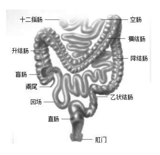 医生不会告诉你的男生的秘密,医生不会告诉你的秘密妇科
