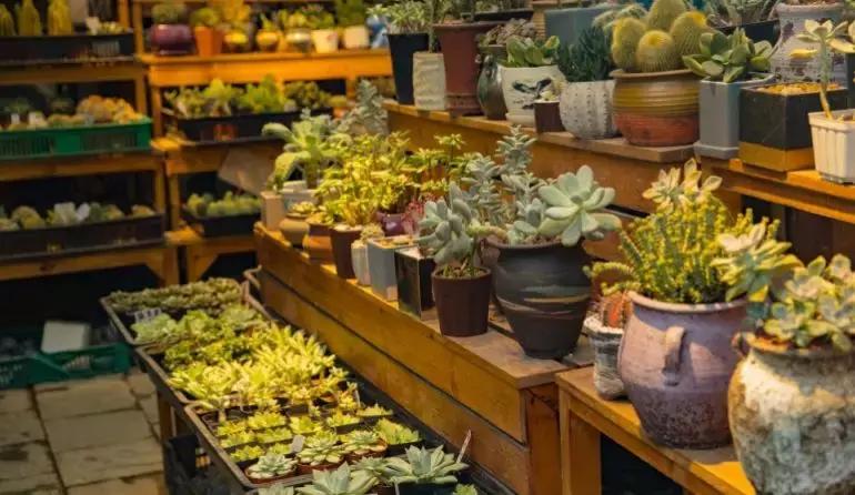 深圳最具特点的十个小镇,深圳深业特点小镇在哪里