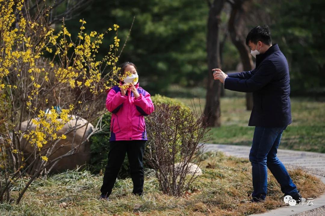 天津西青郊野公园开放最新通知,天津临港亲海公园什么时候开放