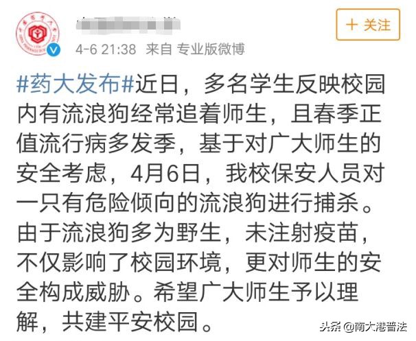 学生养宠物猪被批评,大学生宿舍养宠物处分有什么影响