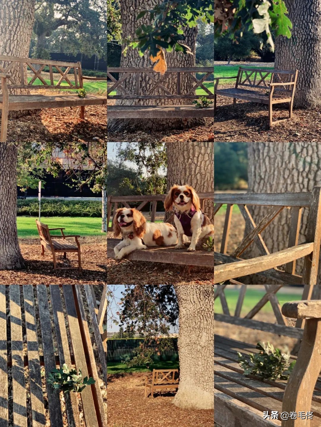 手机拍大片人像,如何拍手机照片最好看