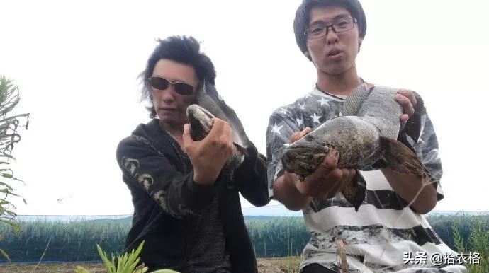 分手了前男友还正常聊天该怎么办 (分手了前男友还在微信聊天)