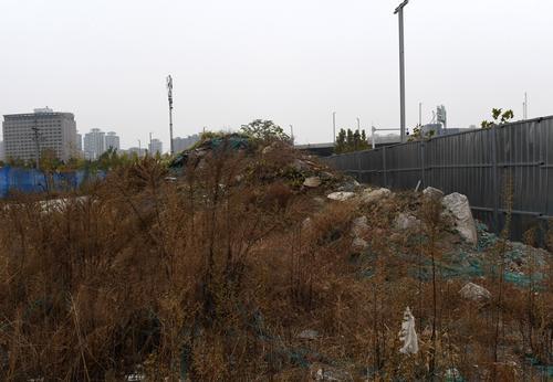 垃圾堆、破围挡、1米高的杂草、……郑州东站附近颜值亟待提升