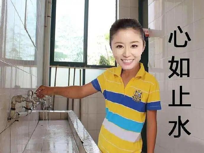 林心如玛丽苏什么关系,林心如为什么会成为背锅侠