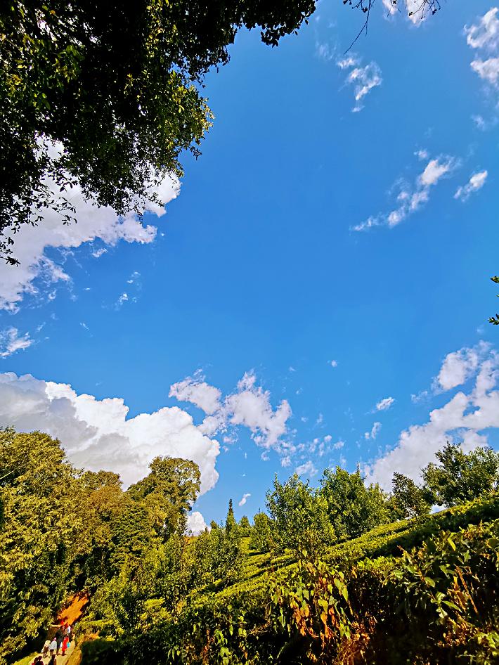 了解西双版纳的风俗和民族文化,西双版纳哈尼族特点民族文化