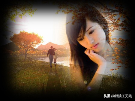 一颗心一份情一句话,一段情始于心动一份爱止于心冷