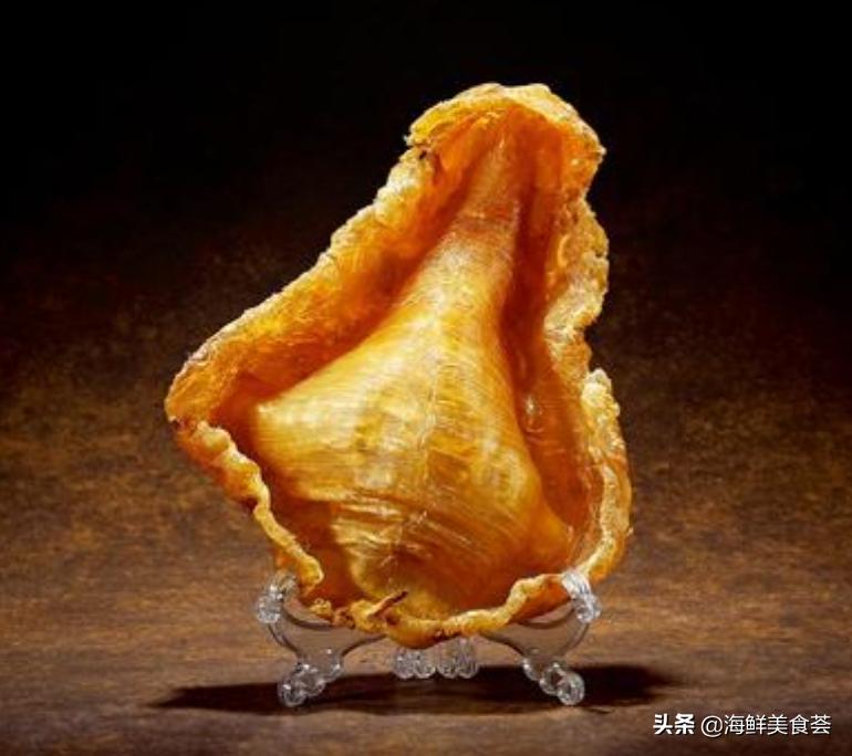 鱼胶的营养价值真的有那么高吗,鱼胶究竟有没有高的营养价值