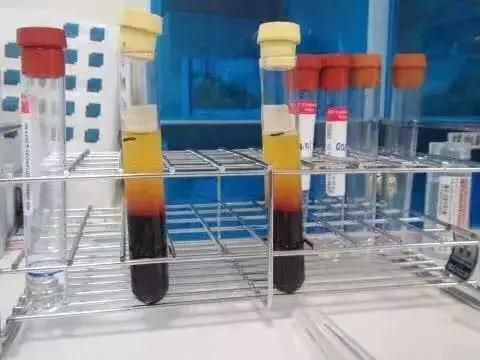 景甜倪妮同台2019年,景甜倪妮同台2019