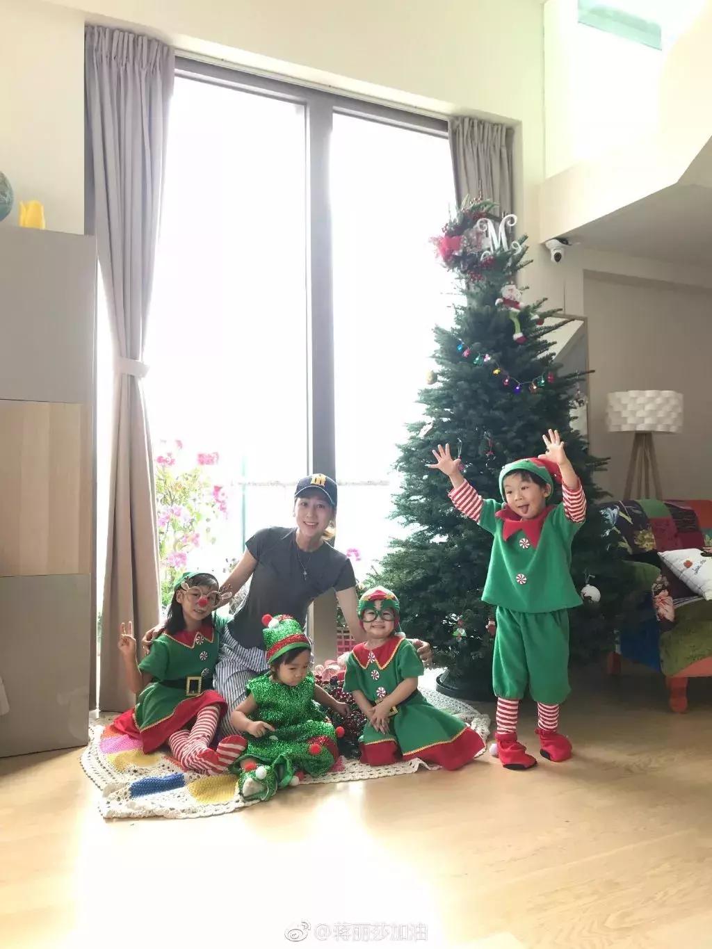 老佛爷的遗产真的由猫继承,老佛爷的所有家产最后留给了猫