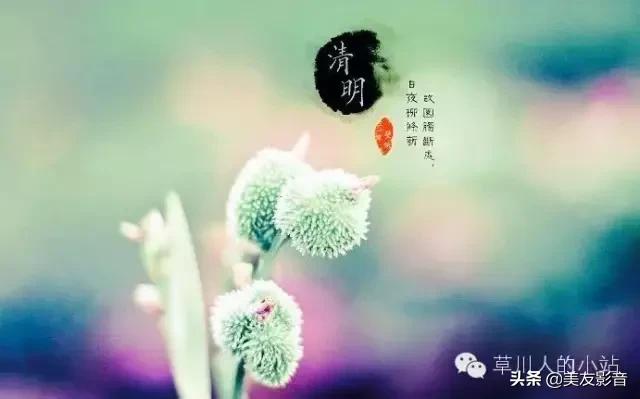 精选清明寒食古诗二十首,寒食清明诗句大全