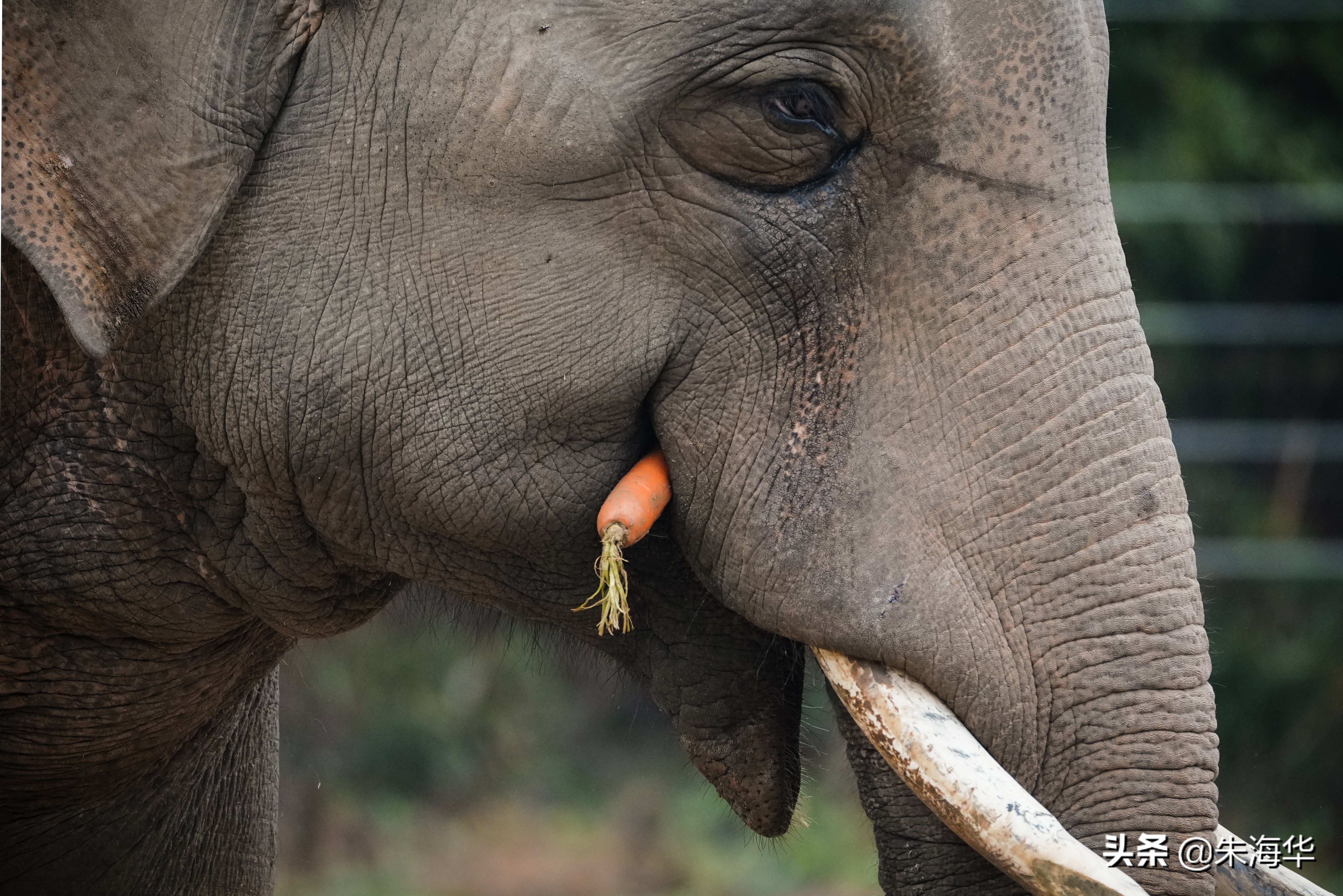 镜头记录：“它们”和我们