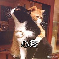 遭遇百般霸凌后，机器人竟将枪口对准人类