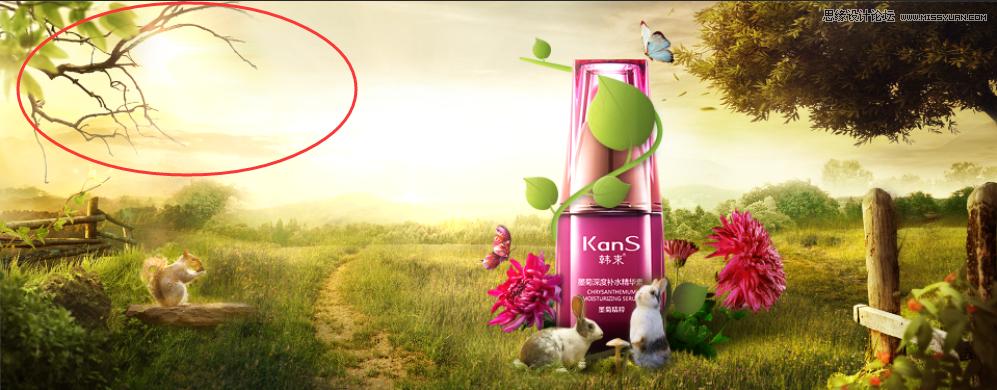 ps化妆品海报设计创意横版电商,化妆品的banner图设计教程