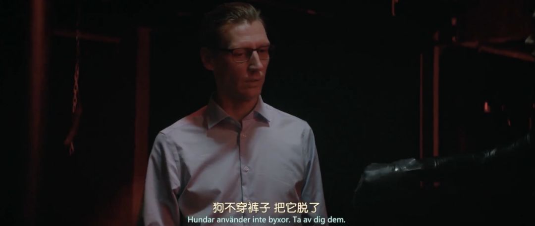 最近的cult片,cult新片