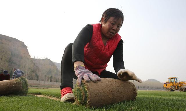 河南小伙好吃懒做,河南小伙放弃百万年薪回家种地