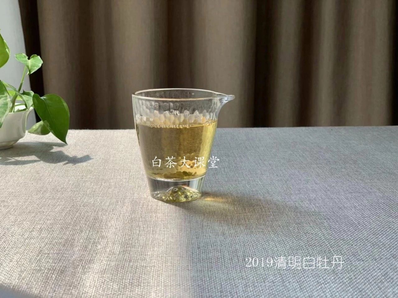 白茶要如何泡茶好喝又简单,泡茶的正确方法和泡白茶步骤视频