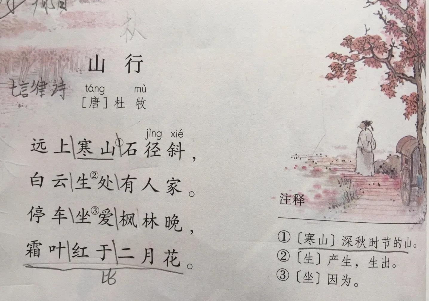 央视主持怒怼“一骑qí红尘妃子笑”，语文教材编者回应