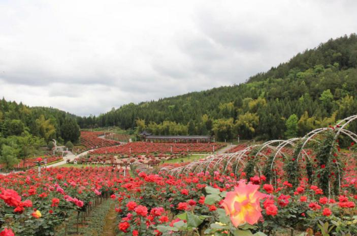 遵义最美乡村旅游图,遵义周边乡村旅游的地方