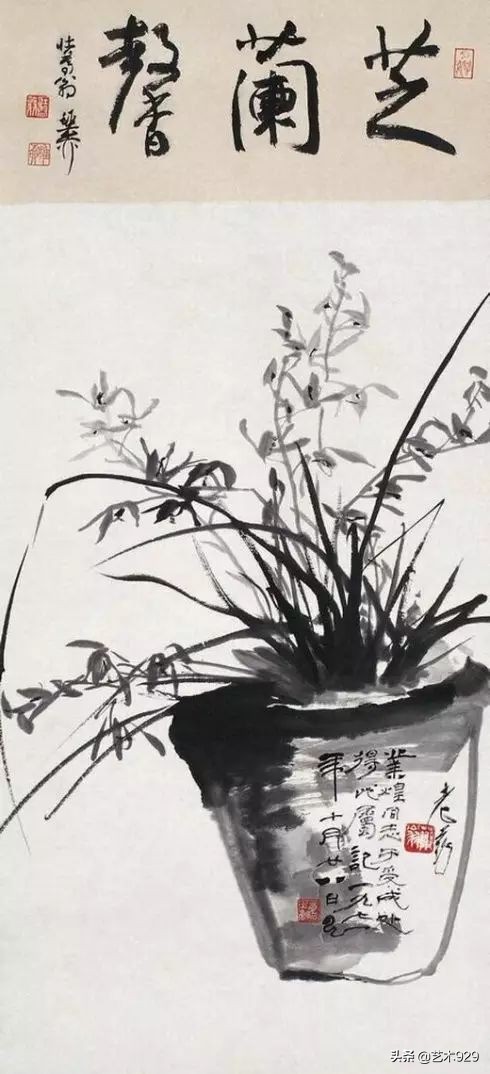 国画兰花的画法太棒了简单易学,泰国兰花绘画技法