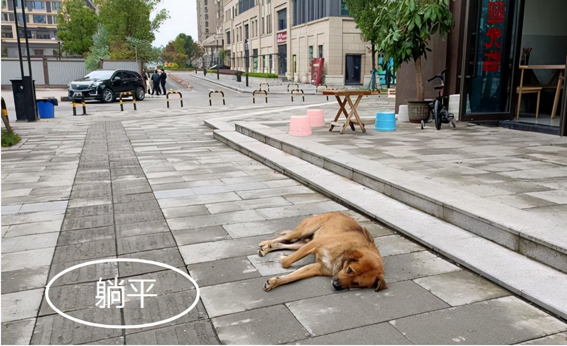 楼市有多惨？重庆某豪宅二十多家中介店混战，如今倒闭一大半？