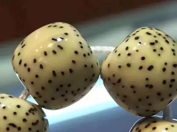 值得盘玩的几种星月,星月各种品种玩出来的区别