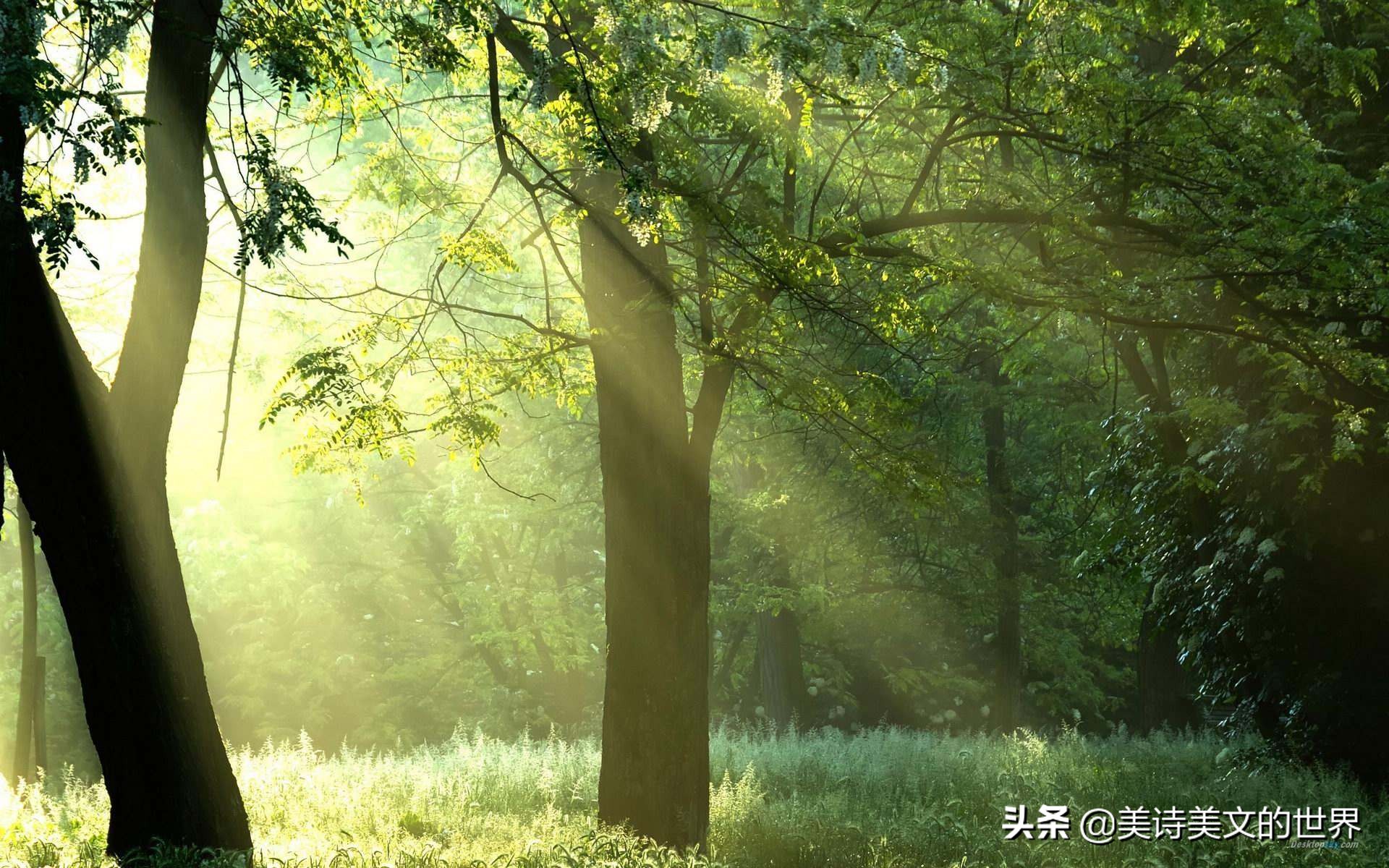 苏轼被贬黄州，写下平生最洒脱的一首诗，其中7个字被当座右铭