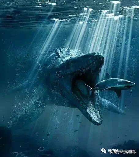 地球上的顶级掠食者,人类是地球上最顶级的掠食者