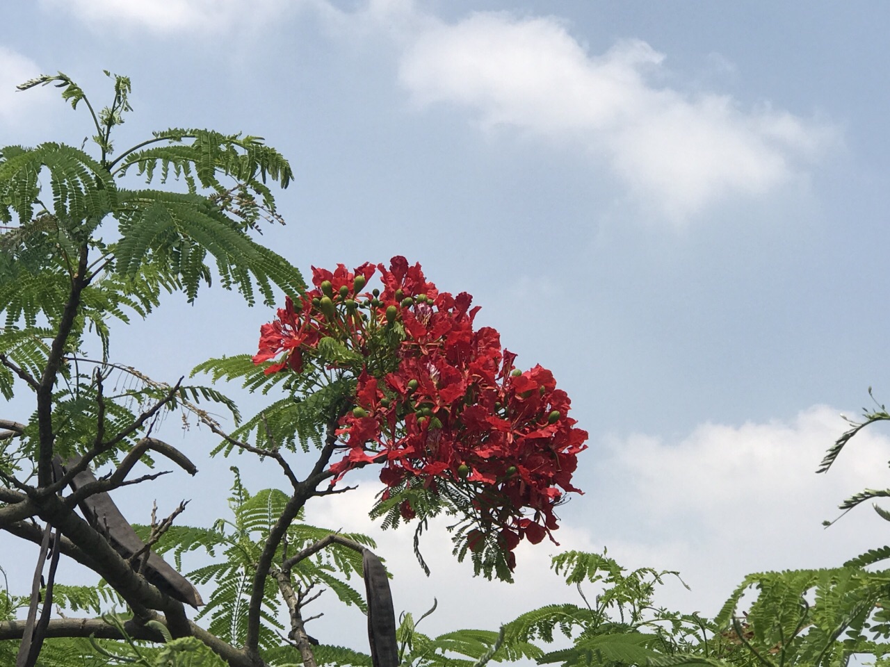 珠海市金湾区十大旅游景点,珠海市南水镇有哪些旅游景点