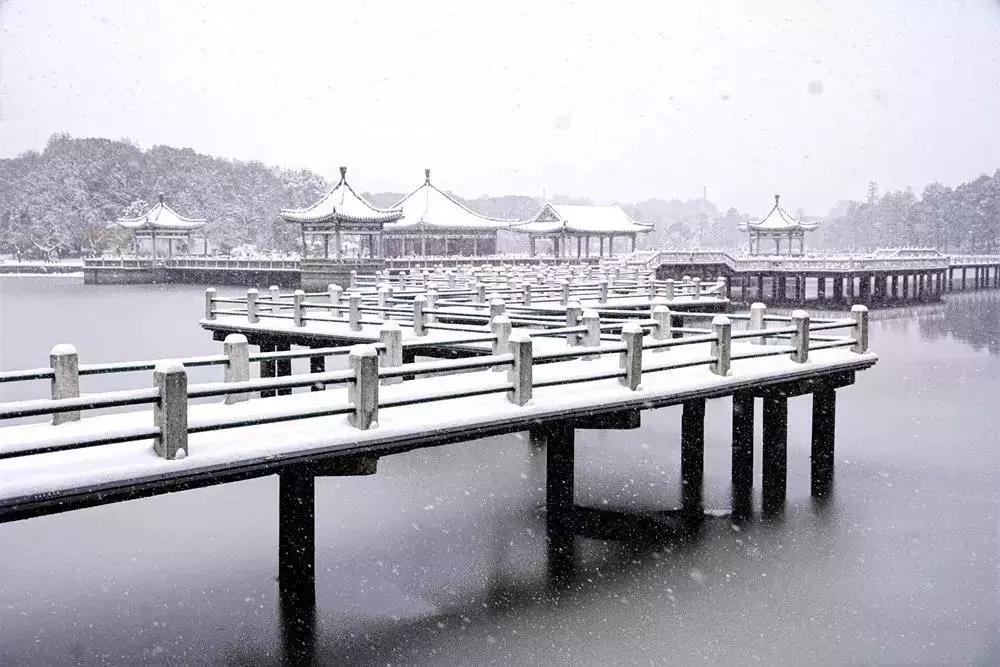 武汉发布暴雪橙色预警气温,武汉特大暴雪最新消息