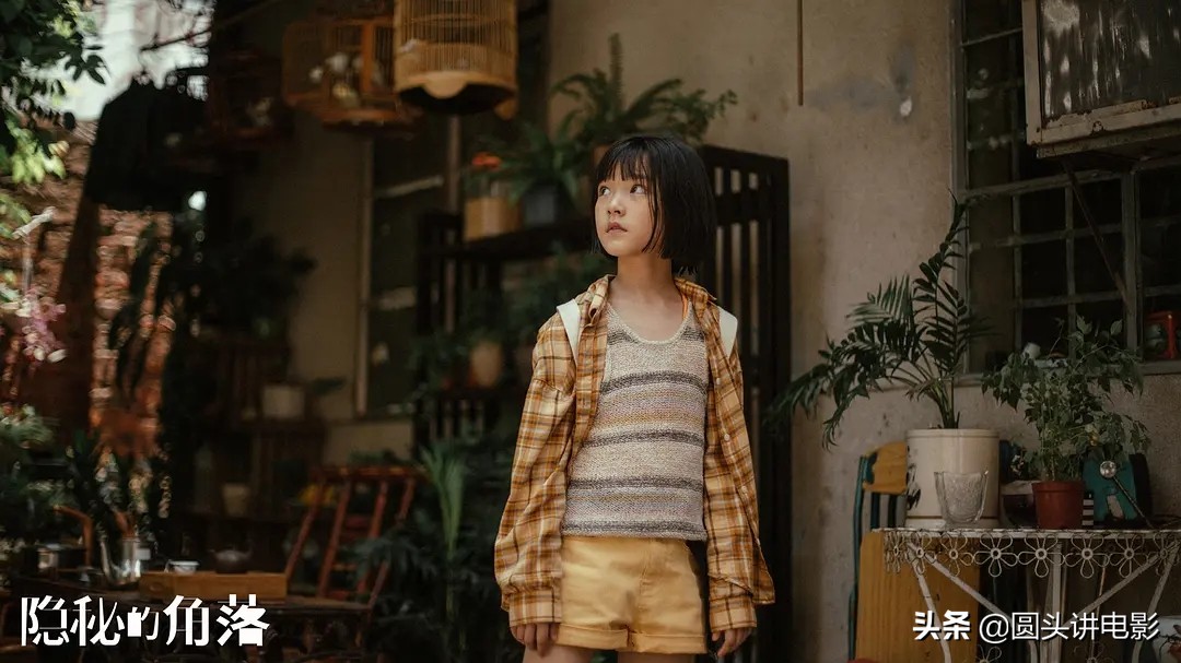 公认零差评的4部网剧你看过没,口碑爆棚的三部网剧你看过几部