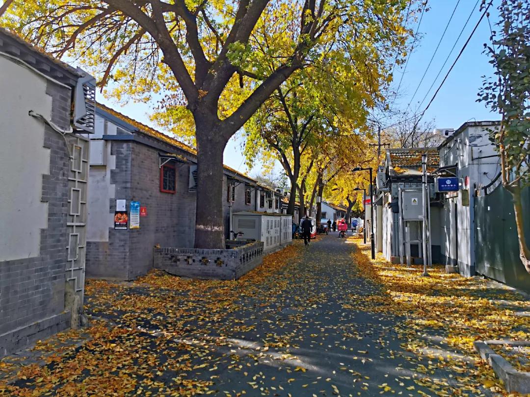 北京最美十条街巷,2019年度十大北京最美街巷