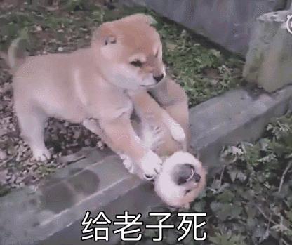 西安串串比拼,西安串串推荐测评