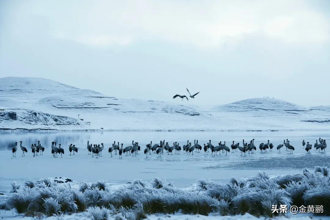 为什么云南女人长相好看,云南真的很漂亮吗