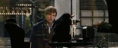 婢虫床閽堥脊鍒虹尙,鍏ㄤ笘鐣屾渶澶ч拡榧瑰拰鍒虹尙