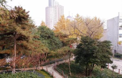 郑州周末骑行的好地方,春天郑州适合骑行的路线