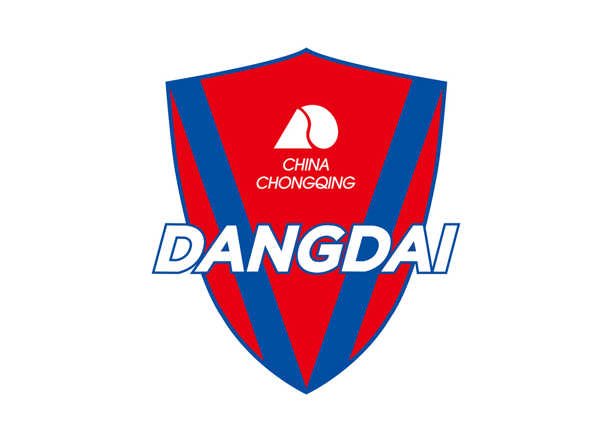 中国足球队历届队徽,中国足球队历年队徽变化