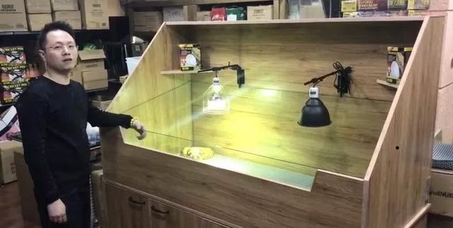 东北老铁在淘宝上卖爬虫，两只蜥蜴售价6万，年销售额超过300万