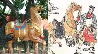 关于马的基本知识和方法,你知道吗关于马的一些小知识