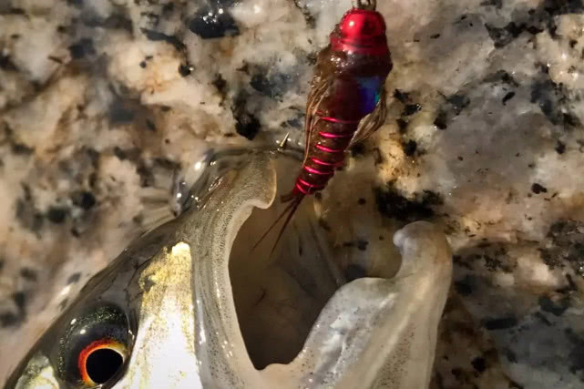 它是一种钓鱼的用具，更像是一件艺术品，国外叫飞绳我们叫毛钩