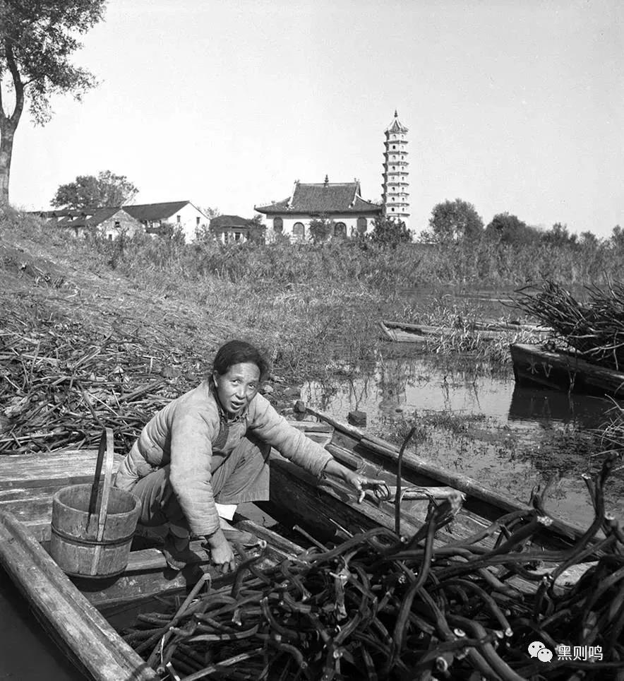 1934年的南京城,1944年南京视频