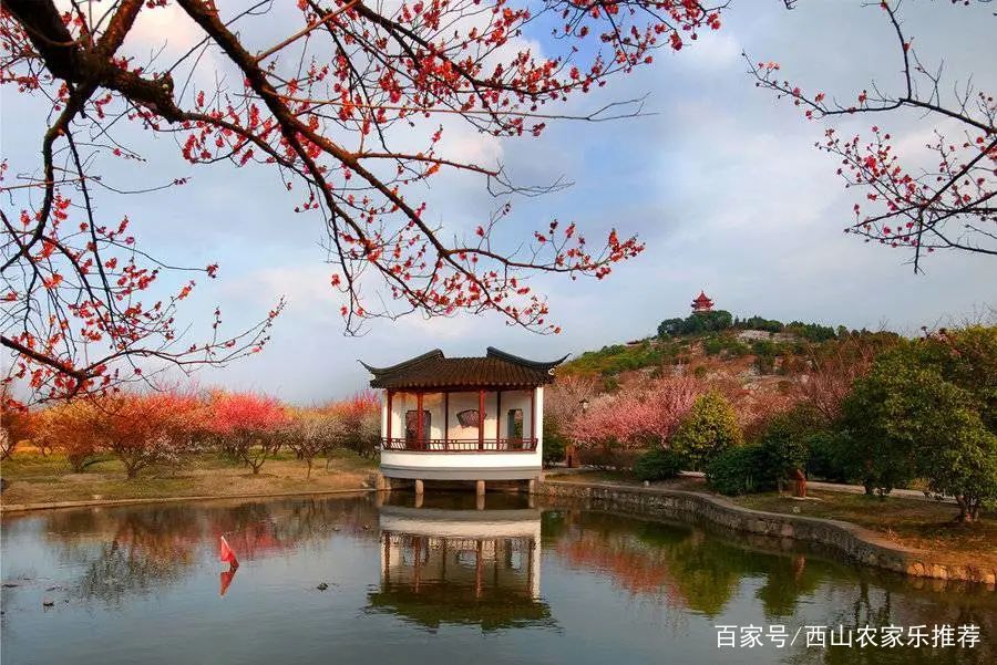 苏州西山免费打卡,苏州西山区网红打卡圣地图片