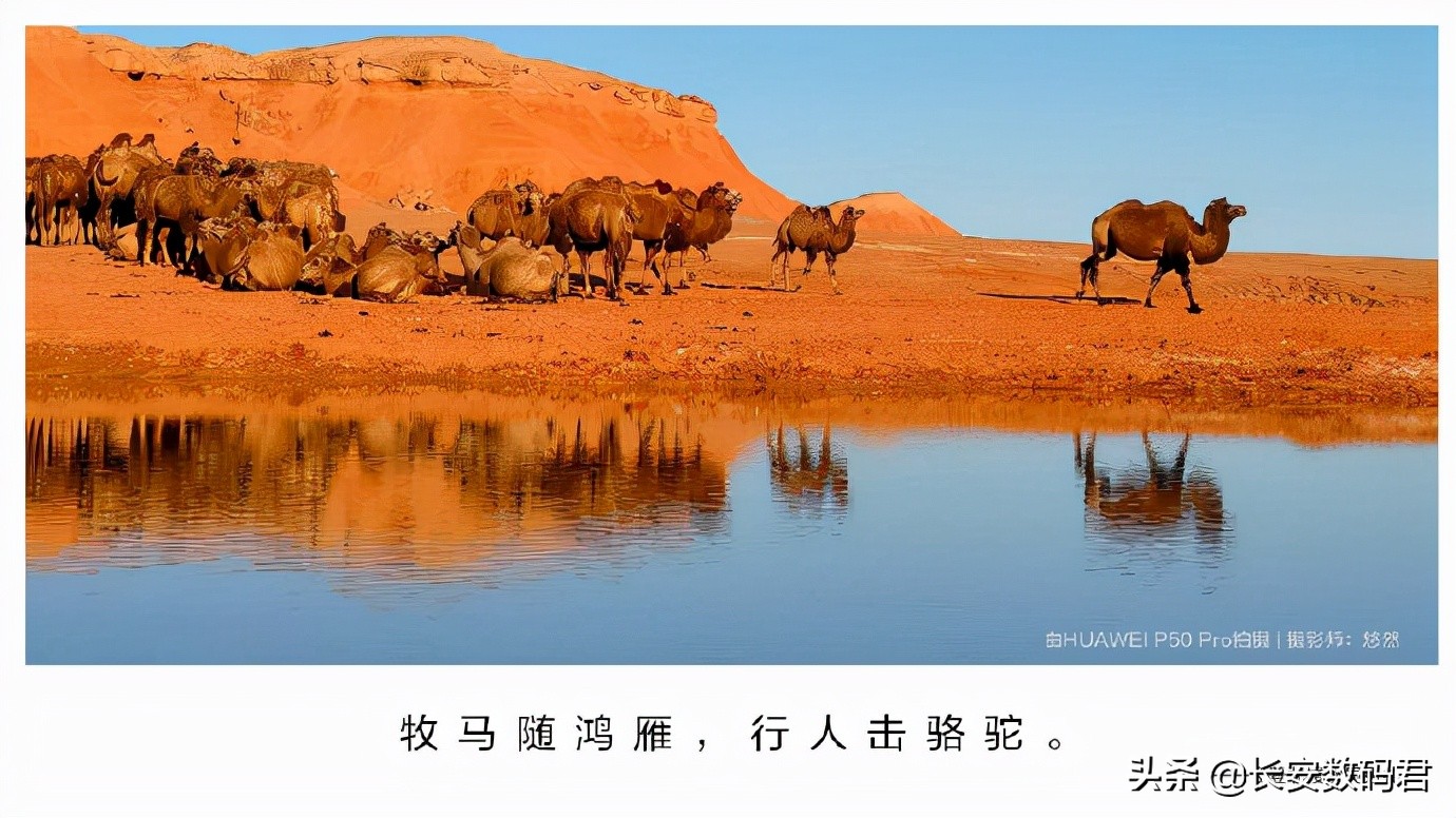 华为P50最新评测,新款华为p50深度评测