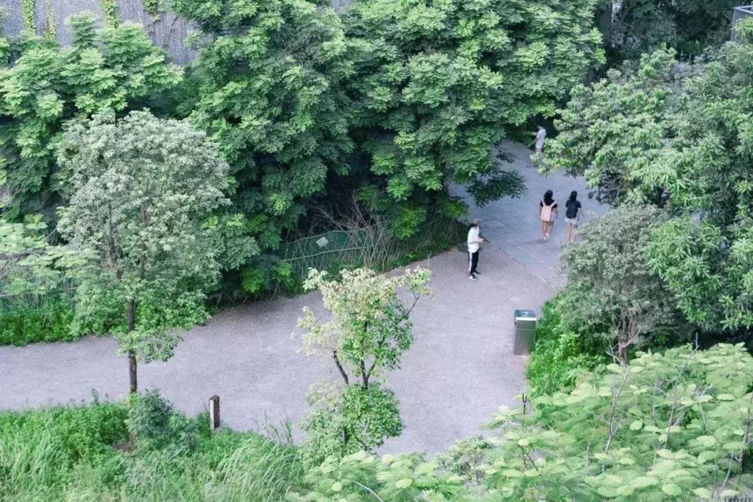 深圳市一日游攻略最佳路线,深圳一日游详细攻略大全最新