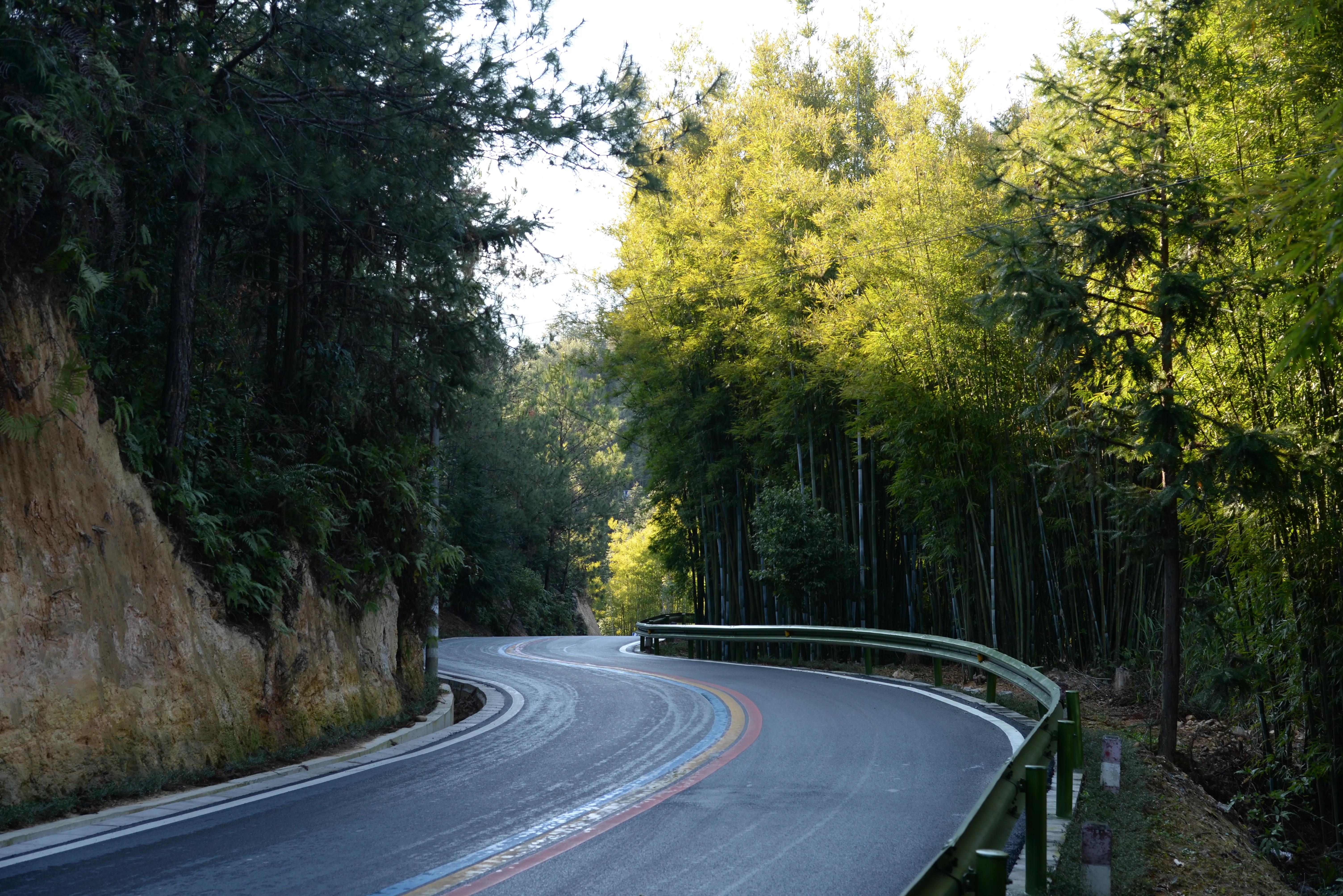 新丰云髻山,新丰云髻山枫叶红了吗
